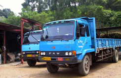 pic1/c6.jpg